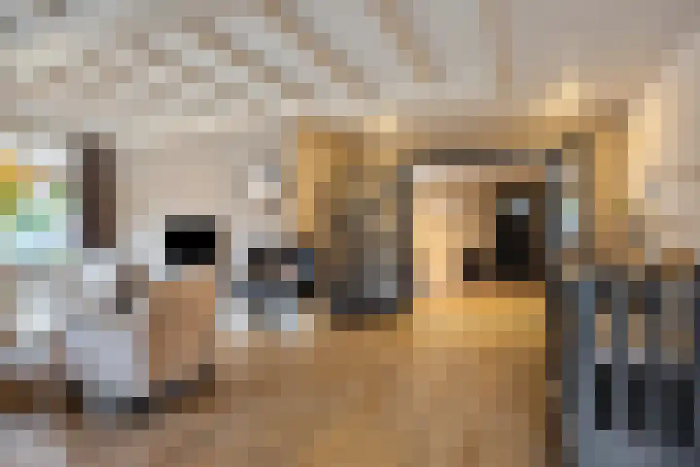 Molenweg 23 Rhenen thumbnail 20