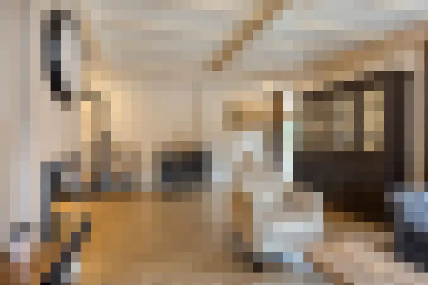 Molenweg 23 Rhenen thumbnail 22