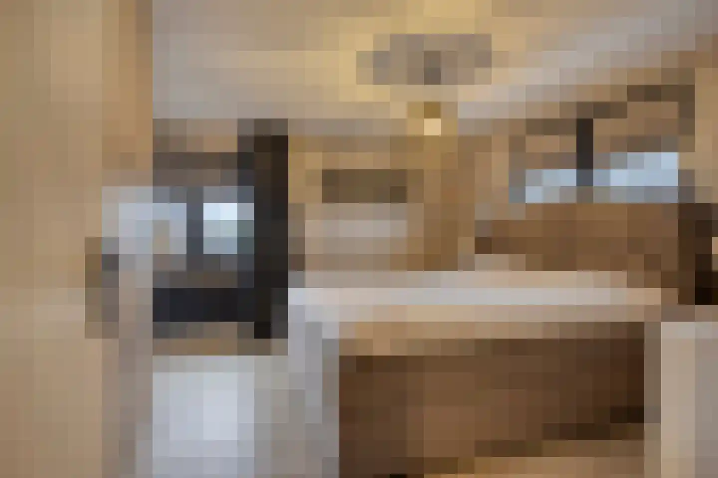 Molenweg 23 Rhenen thumbnail 35