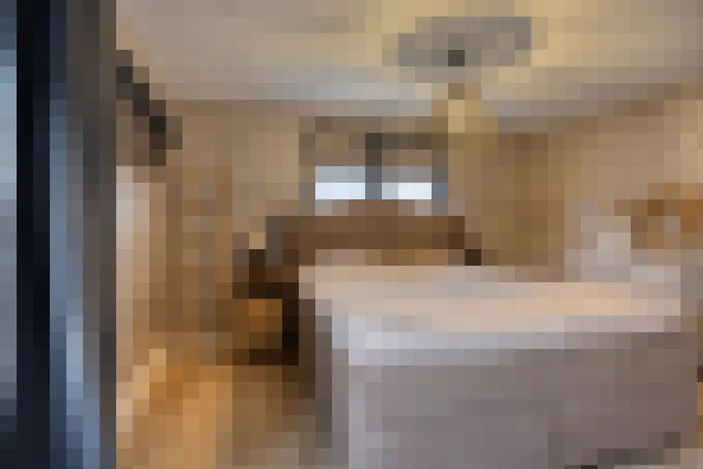 Molenweg 23 Rhenen thumbnail 36