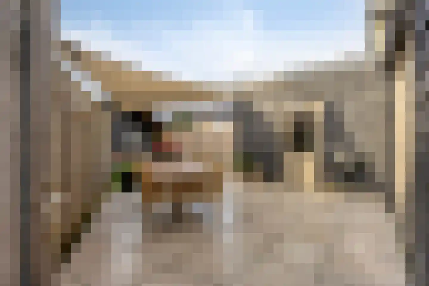 Molenweg 23 Rhenen thumbnail 56