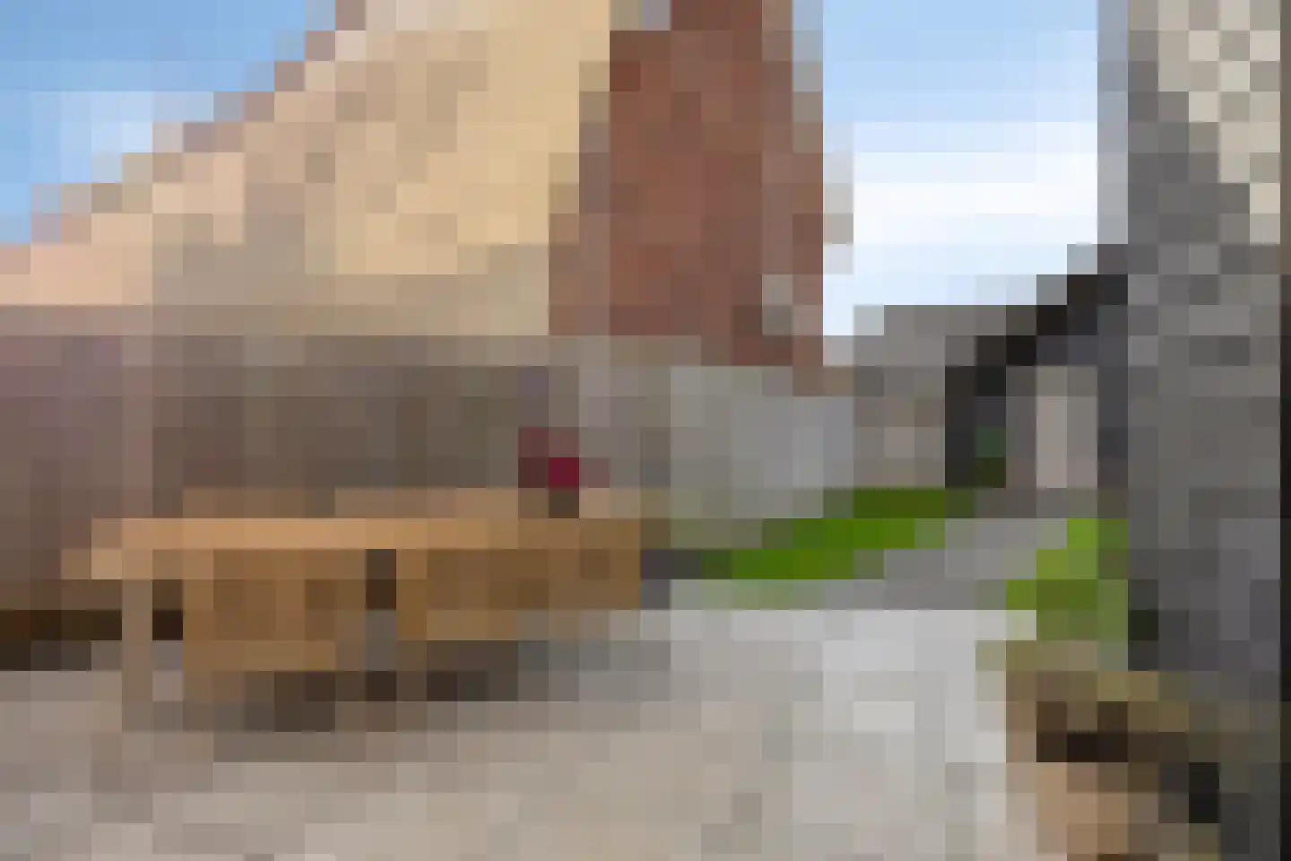 Molenweg 23 Rhenen thumbnail 60