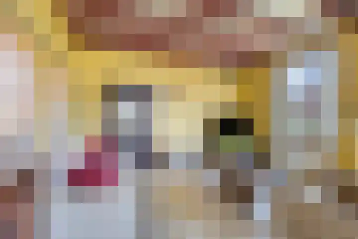 Molenweg 23 Scherpenisse thumbnail 10