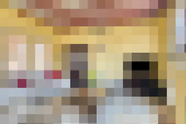 Molenweg 23 Scherpenisse thumbnail 11