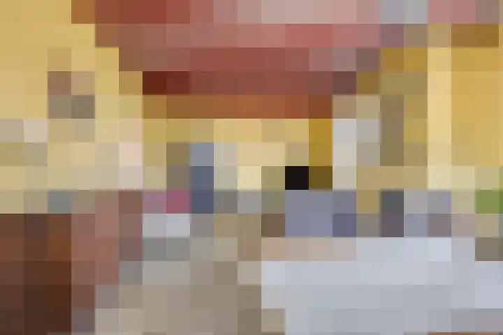 Molenweg 23 Scherpenisse thumbnail 13
