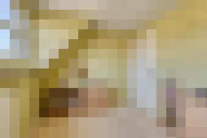 Molenweg 23 Scherpenisse thumbnail 29
