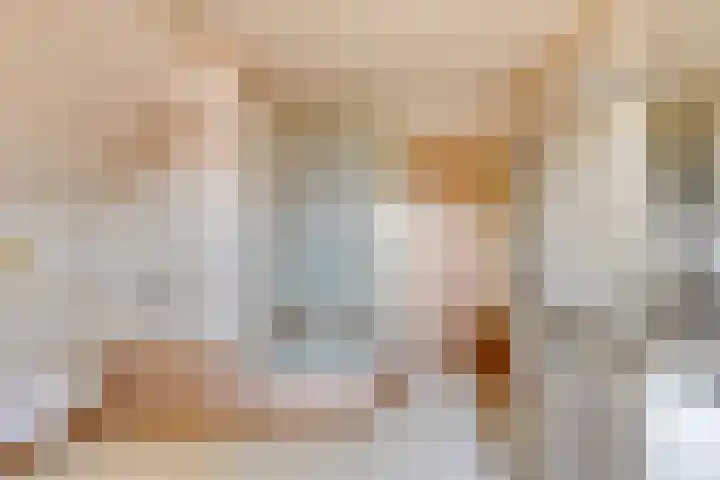 Molenweg 23 Scherpenisse thumbnail 31