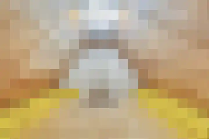 Molenweg 23 Scherpenisse thumbnail 36