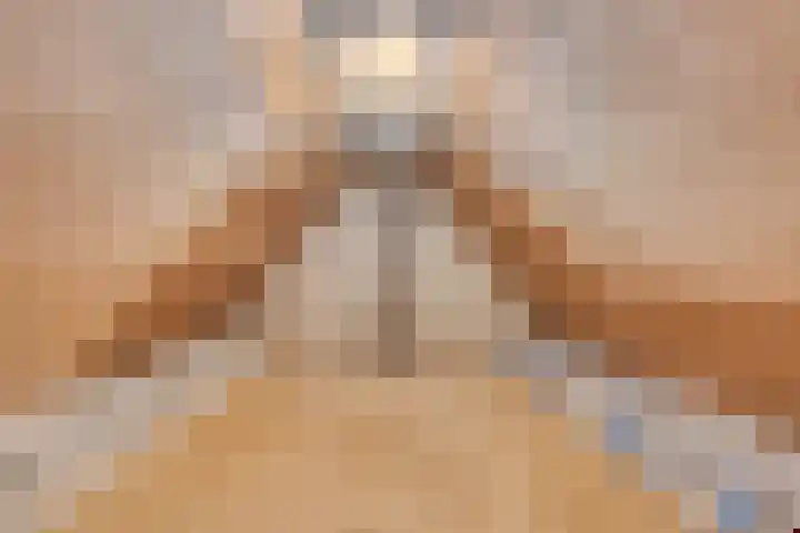 Molenweg 23 Scherpenisse thumbnail 38