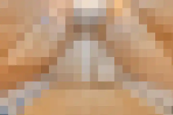 Molenweg 23 Scherpenisse thumbnail 39