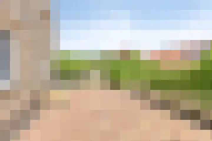 Molenweg 23 Scherpenisse thumbnail 41