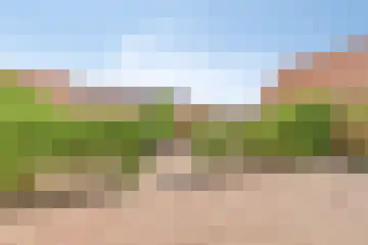 Molenweg 23 Scherpenisse thumbnail 42