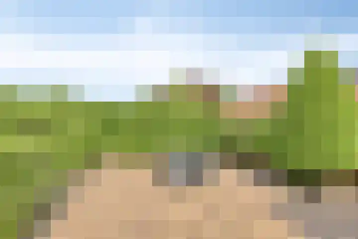 Molenweg 23 Scherpenisse thumbnail 43