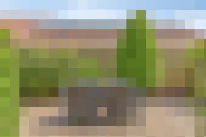Molenweg 23 Scherpenisse thumbnail 47