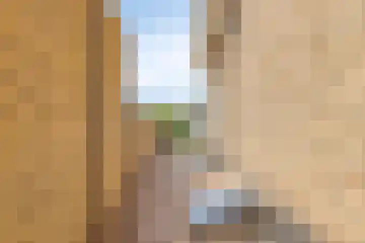 Molenweg 23 Scherpenisse thumbnail 48