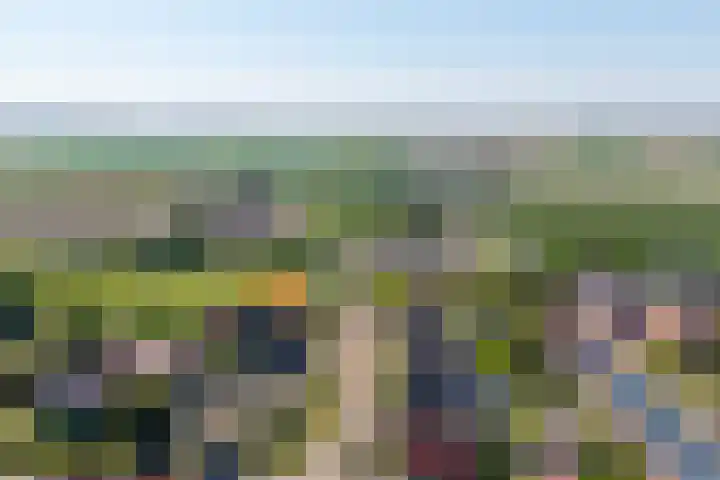 Molenweg 23 Scherpenisse thumbnail 52
