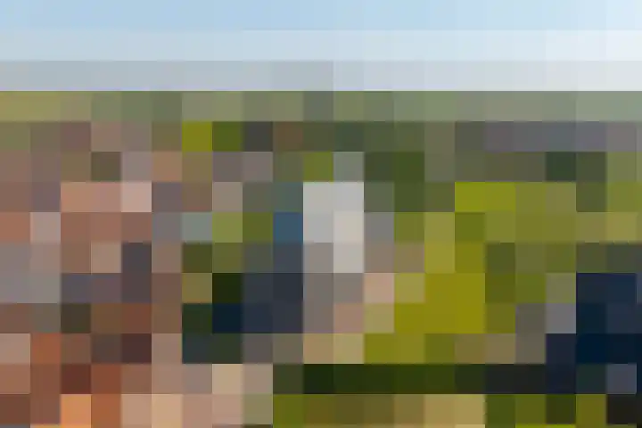 Molenweg 23 Scherpenisse thumbnail 53
