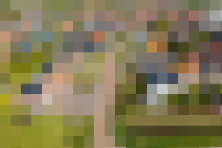 Molenweg 23 Scherpenisse thumbnail 54