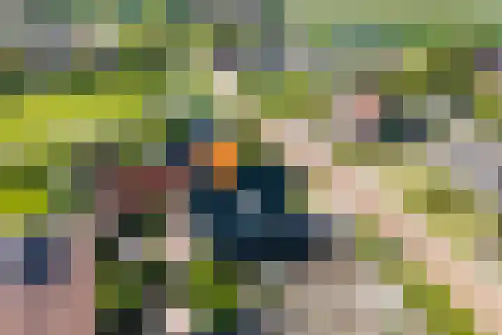 Molenweg 23 Scherpenisse thumbnail 55