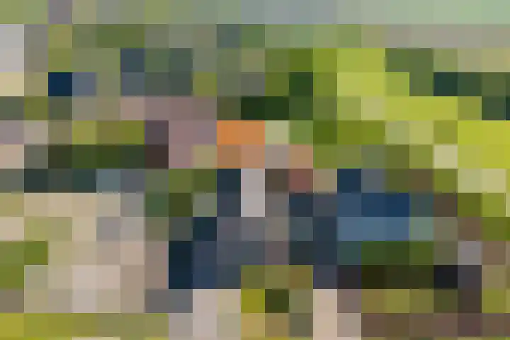 Molenweg 23 Scherpenisse thumbnail 56