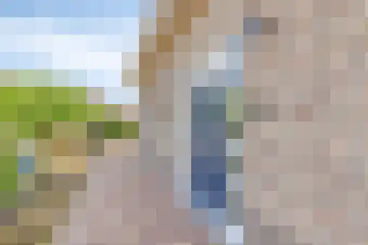 Molenweg 23 Scherpenisse thumbnail 6