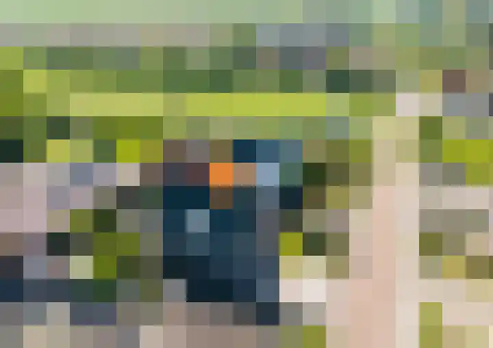 Molenweg 23 Scherpenisse thumbnail 64