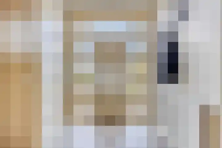 Molenweg 23 Scherpenisse thumbnail 7