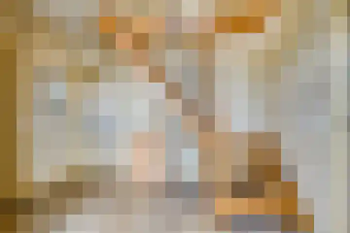 Molenweg 23 Scherpenisse thumbnail 8