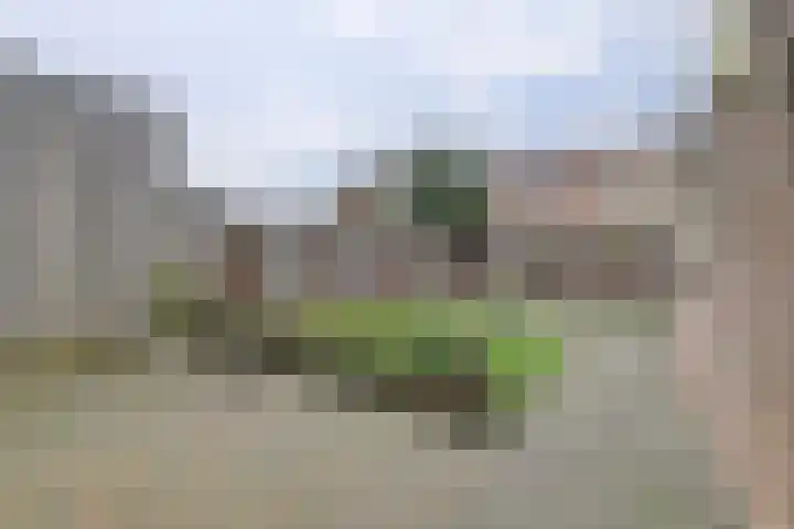 Molenweg 230 Nijmegen thumbnail 25