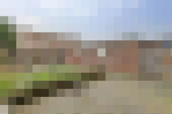 Molenweg 230 Nijmegen thumbnail 26
