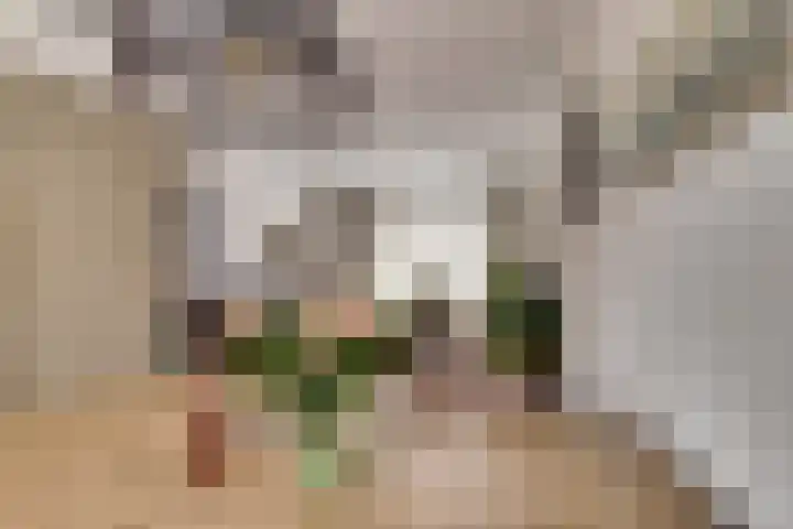 Molenweg 230 Nijmegen thumbnail 5