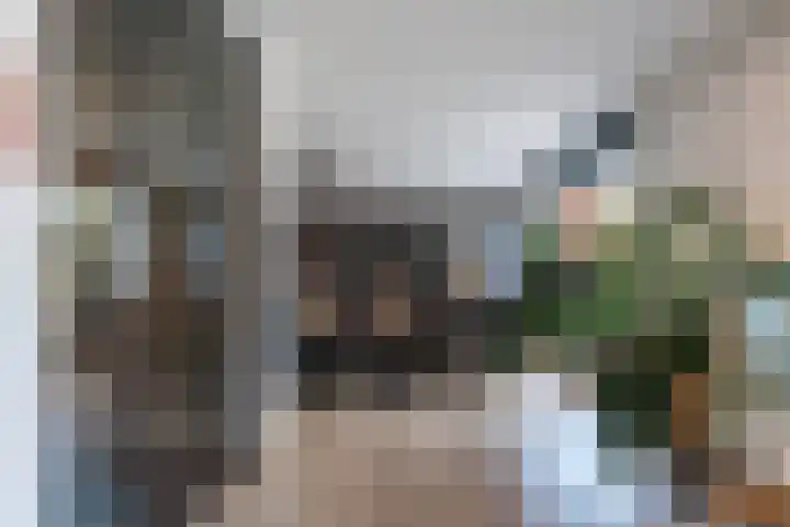 Molenweg 24 Eygelshoven thumbnail 13