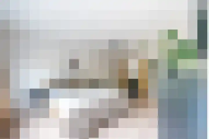 Molenweg 24 Eygelshoven thumbnail 18