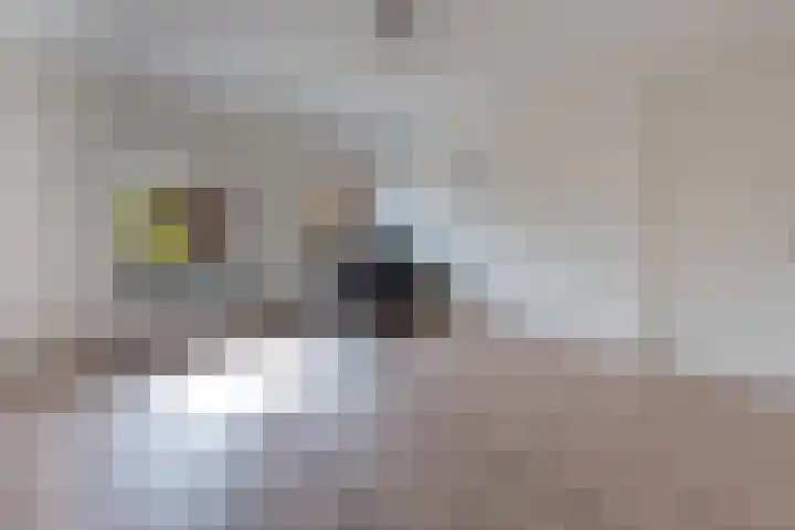 Molenweg 24 Eygelshoven thumbnail 21