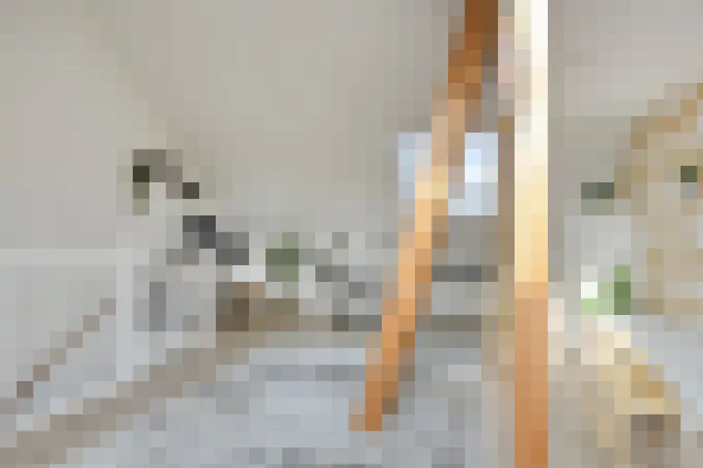 Molenweg 24 Nijkerk thumbnail 33