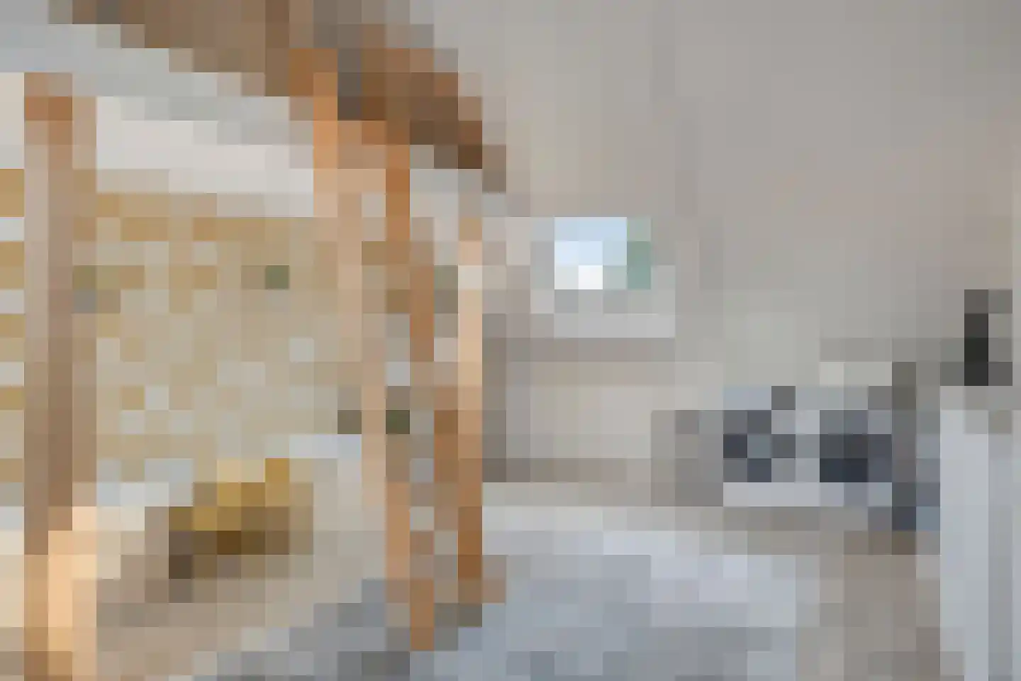 Molenweg 24 Nijkerk thumbnail 36
