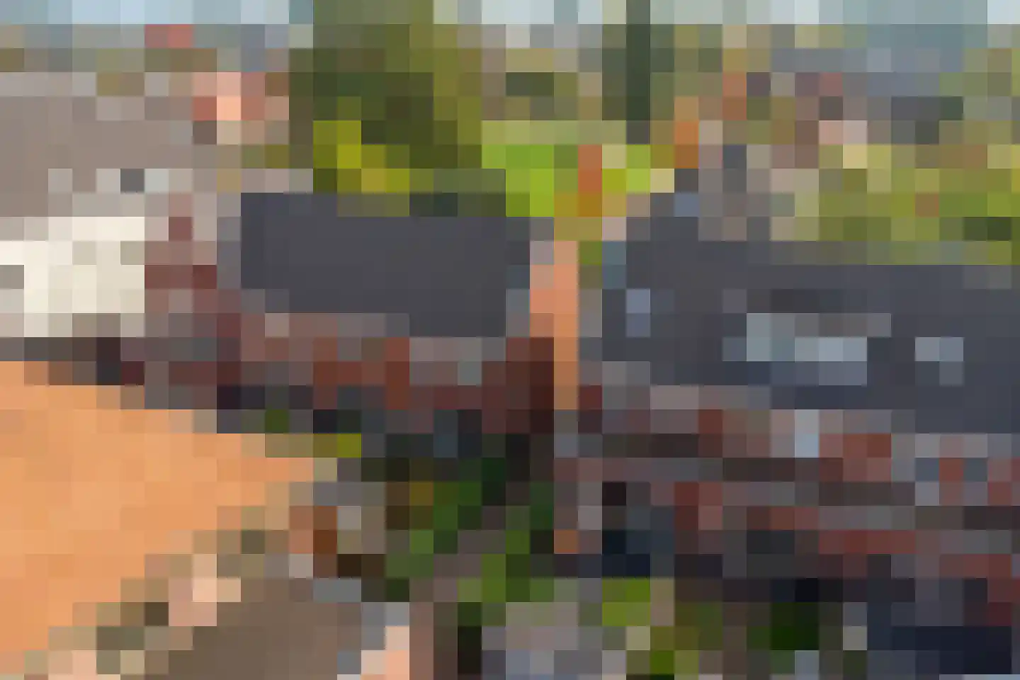 Molenweg 24 Nijkerk thumbnail 42