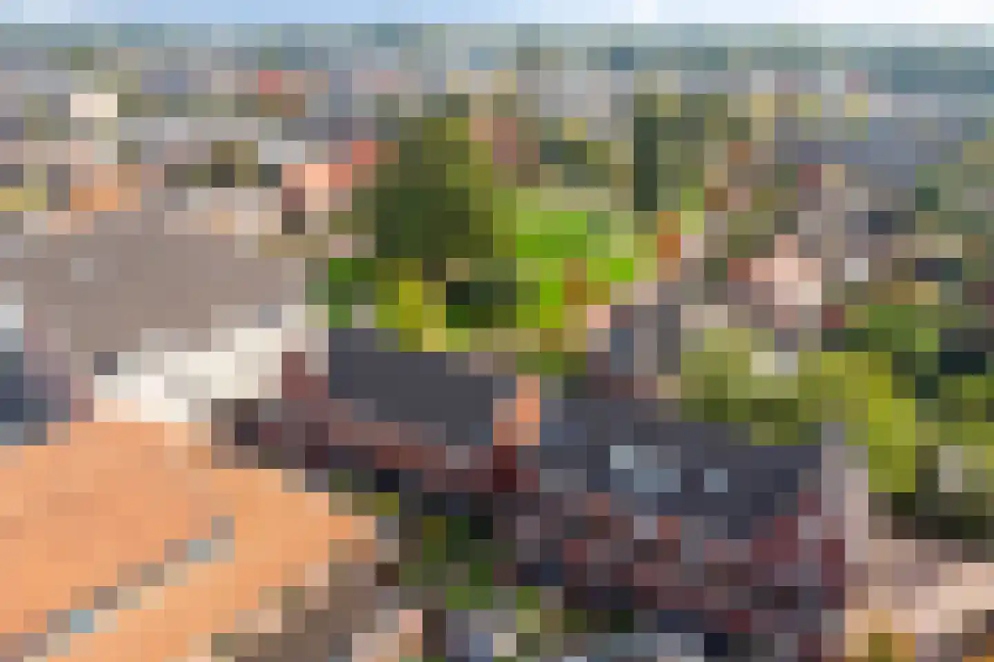 Molenweg 24 Nijkerk thumbnail 47