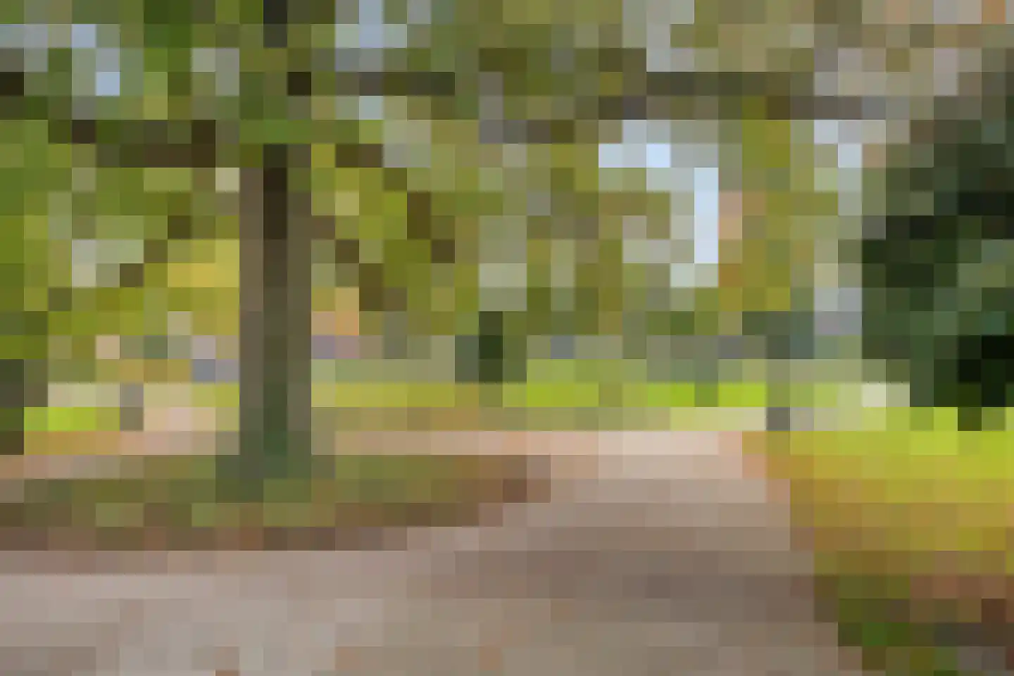Molenweg 24 Nijkerk thumbnail 49