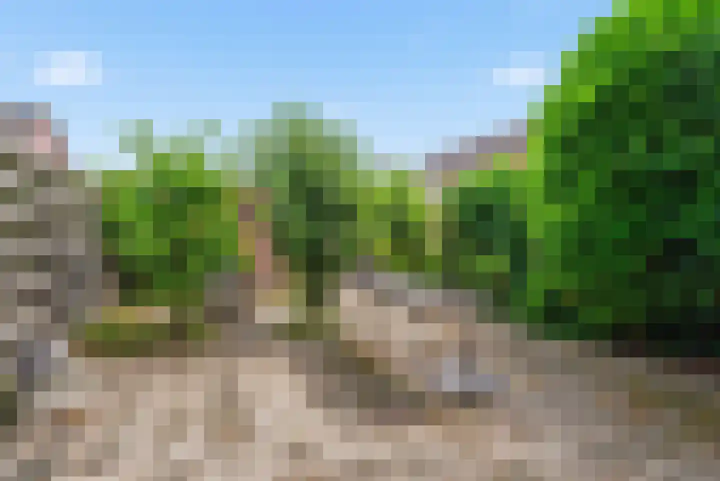 Molenweg 24 Oost-Souburg thumbnail 23