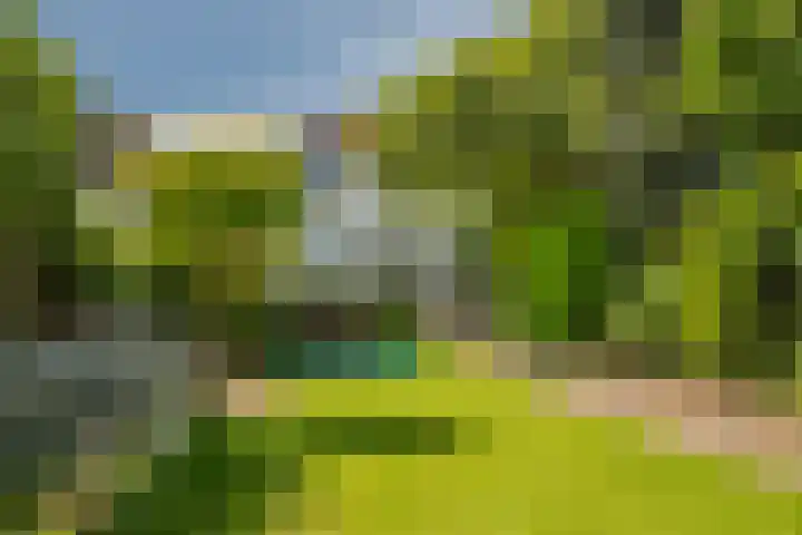 Molenweg 24 Oosterbeek thumbnail 29
