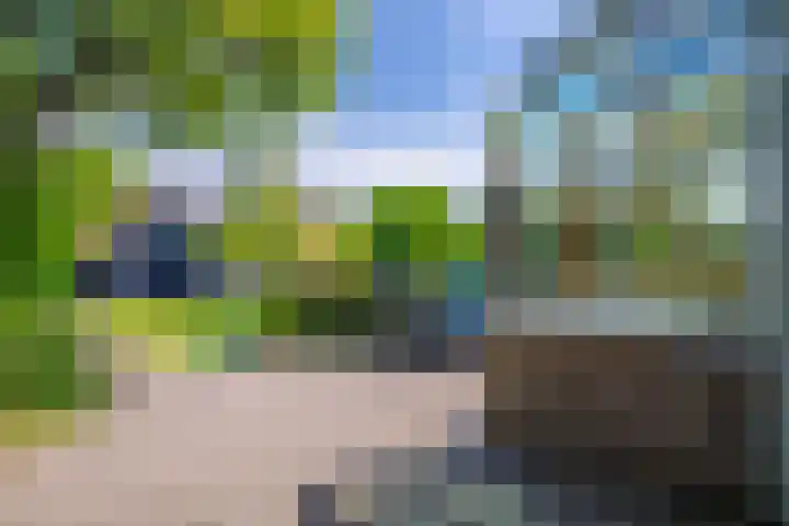 Molenweg 24 Oosterbeek thumbnail 30