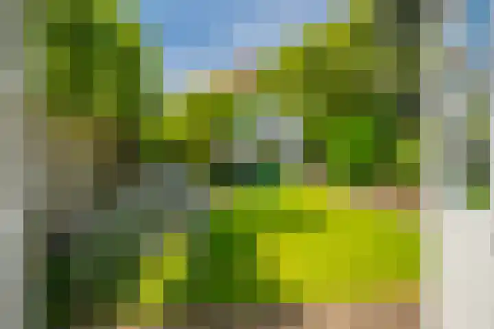 Molenweg 24 Oosterbeek thumbnail 32