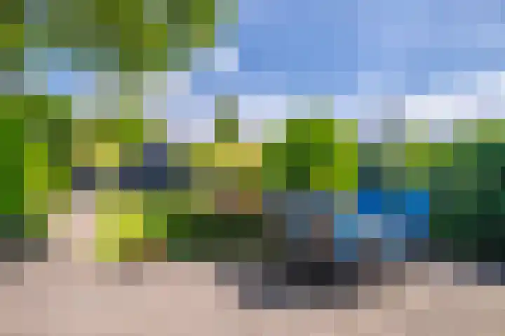 Molenweg 24 Oosterbeek thumbnail 33