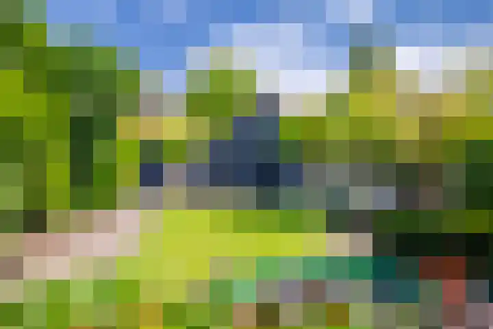 Molenweg 24 Oosterbeek thumbnail 34