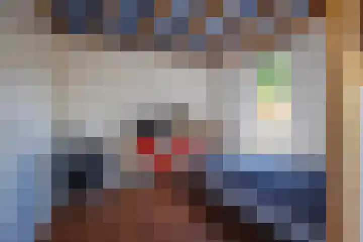 Molenweg 24 Oosterbeek thumbnail 37