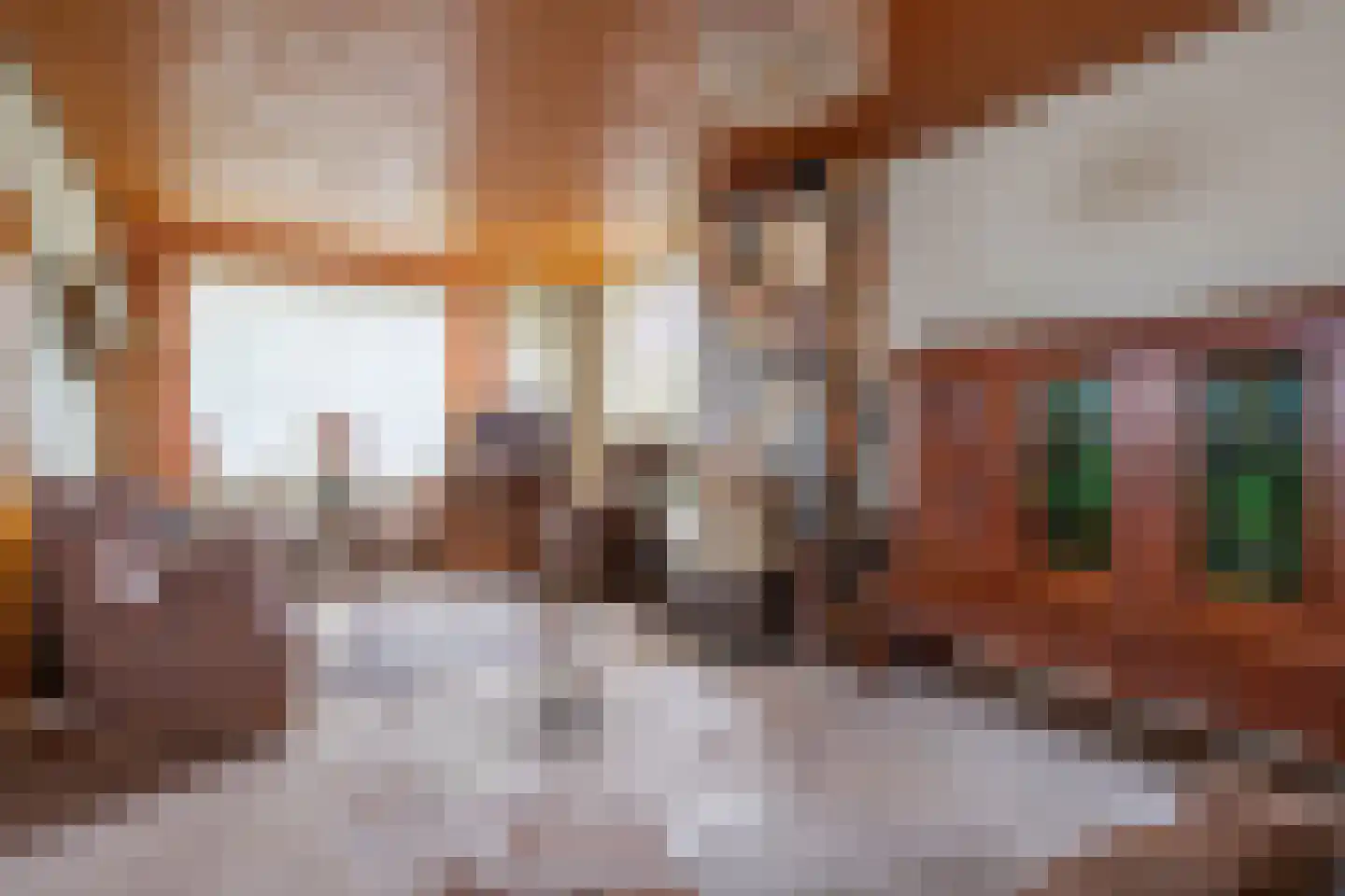 Molenweg 24 Wessem thumbnail 11