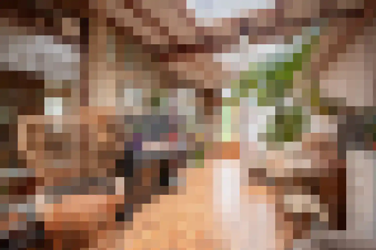 Molenweg 24 Wessem thumbnail 12