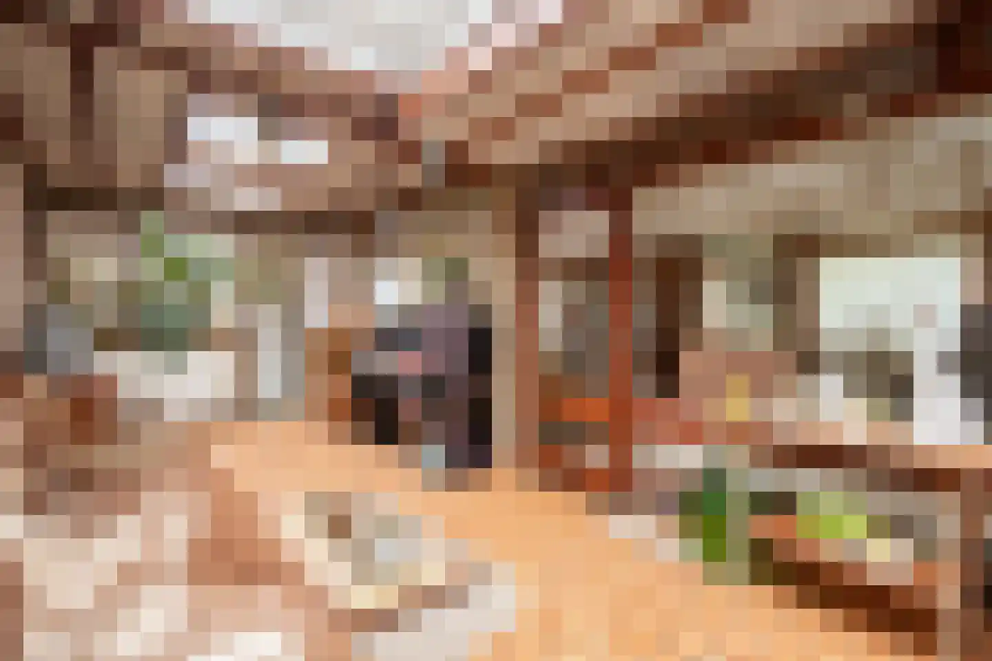 Molenweg 24 Wessem thumbnail 13