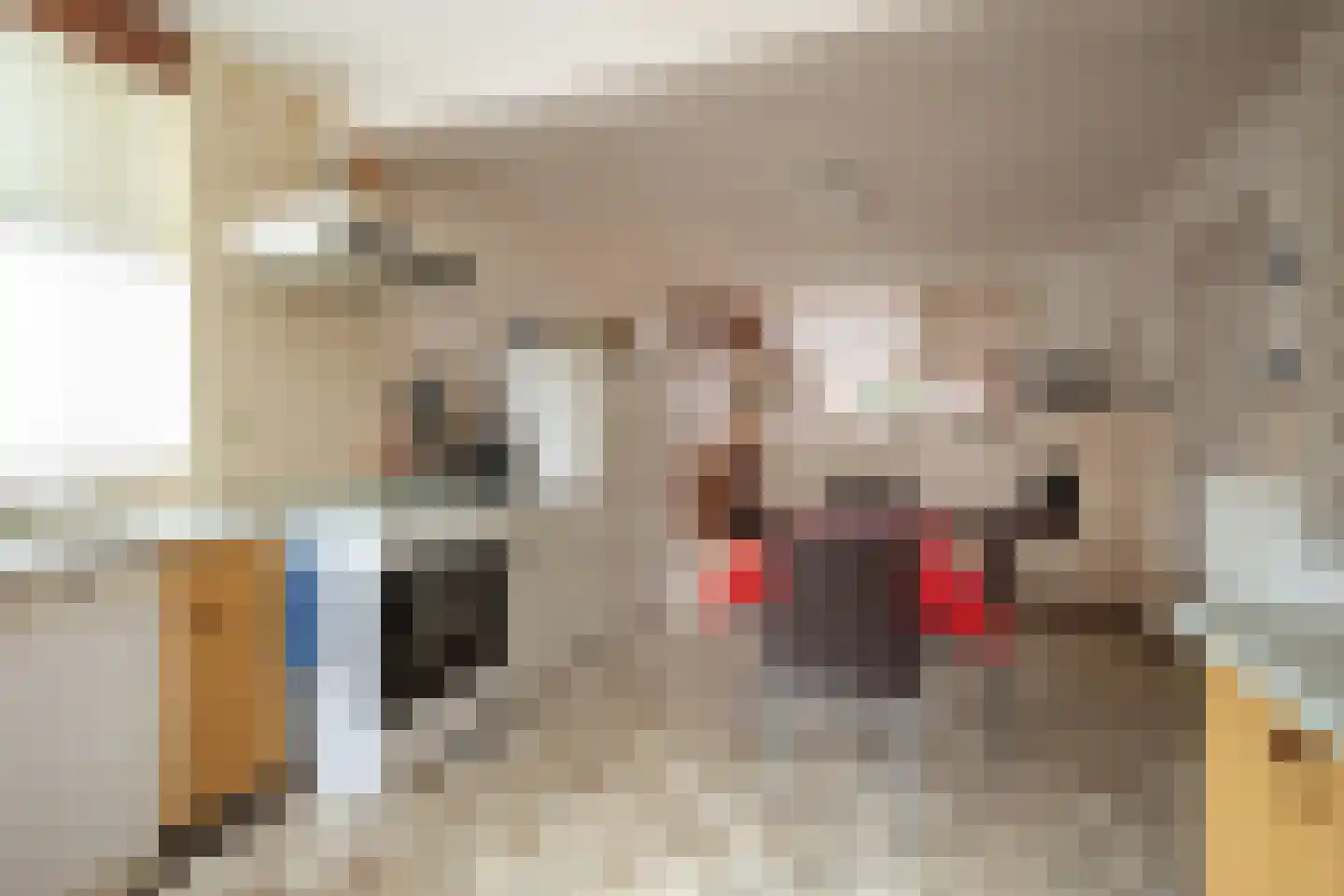 Molenweg 24 Wessem thumbnail 18